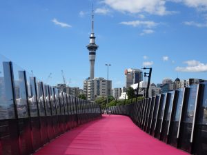 The Lightpath Pink Cycleway